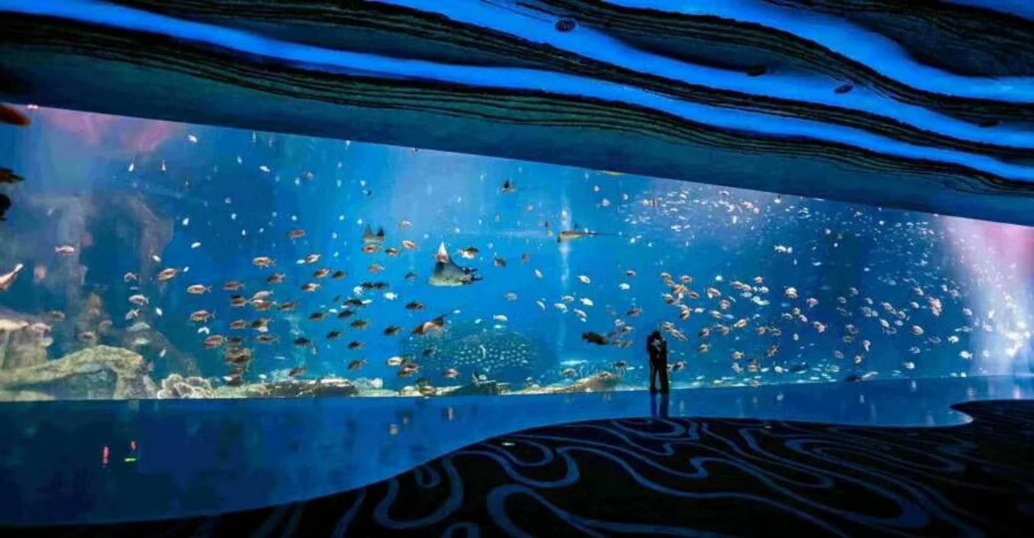 海洋館水族館生物養(yǎng)殖用水臭氧殺菌，滅藻